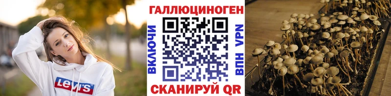 OMG ONION  Свирск  Псилоцибиновые грибы мухоморы 